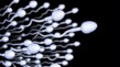 Hamile Kalmak İçin Ne Kadar Sperm Gelmeli ?