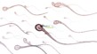 Sperm Sorunları ile Kısırlık Nedenleri ve Tedavileri