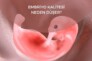 Embriyo kalitesi neden düşer?