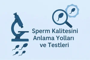 Sperm Kalitesini Anlama Yolları ve Testleri – Güncel Rehber