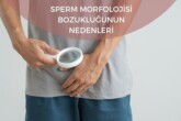 Sperm Morfolojisi Bozukluğunun Nedenleri