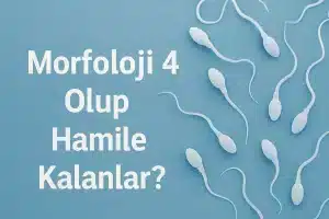 Morfoloji 4 Olup Hamile Kalanlar