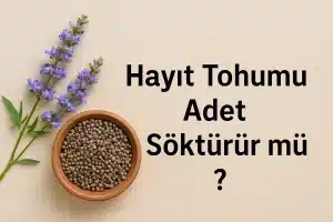 Hayıt Tohumu Adet Söktürür mü ?